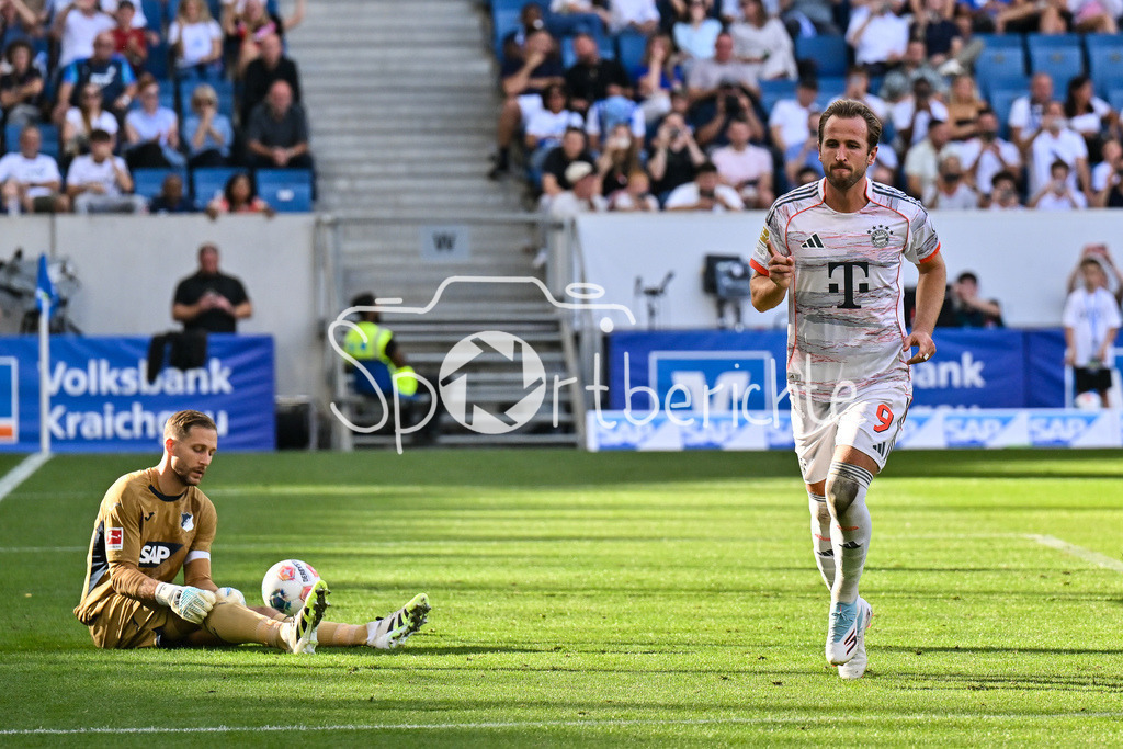 TSG 1899 Hoffenheim - FC Bayern München | Jubel der Bayern nach dem Treffer zum 0-3 durch Harry KANE (FC Bayern Muenchen 9) / Elfmeter / Tor / Torschuetze / Freude / Happy / Bundesliga: TSG 1899 Hoffenheim - FC Bayern München; PreZero-Arena am 20.09.2025 / DFL REGULATIONS PROHIBIT ANY USE OF PHOTOGRAPHS AS IMAGE SEQUENCES AND/OR QUASI-VIDEO