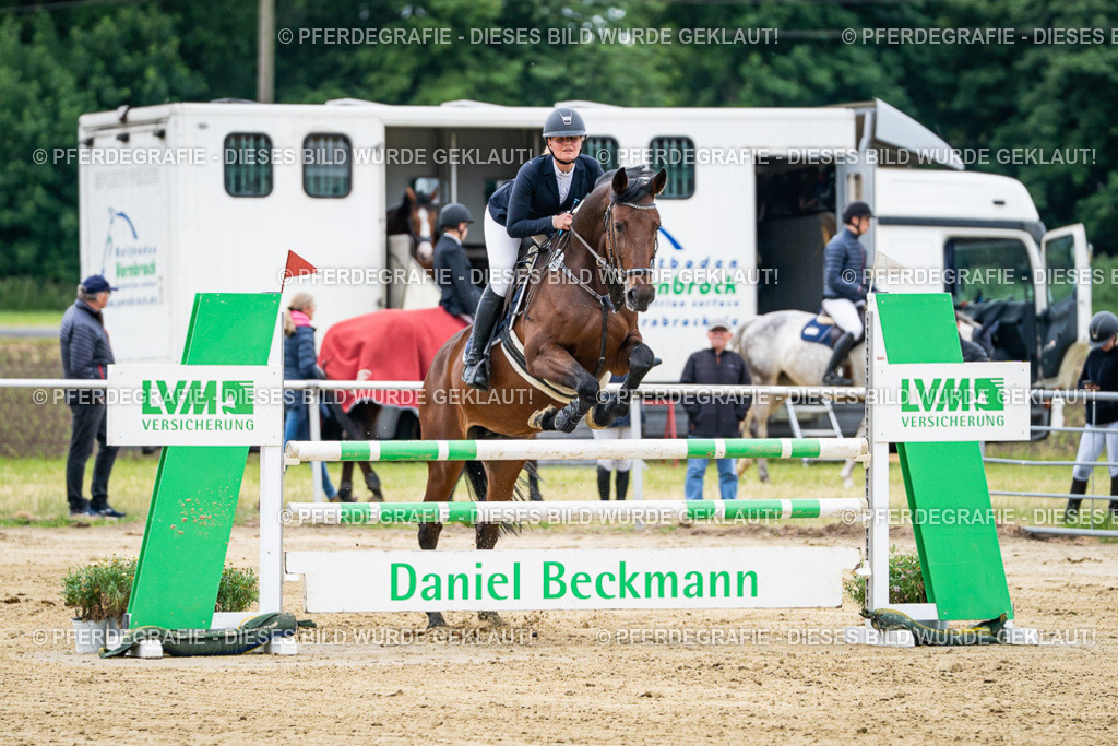 DSC06332 | Pferdegrafie