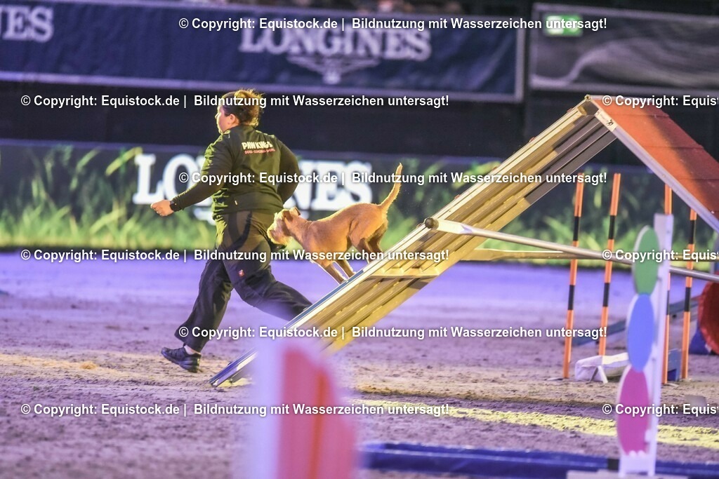 20231115_Dog-Agility_0111_TOMsPiC | Foto: Thomas Hartig