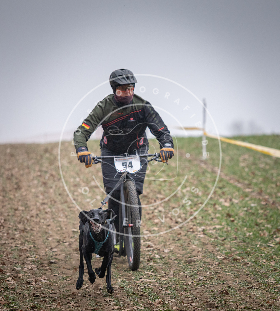 Pfotenfotografie_DV3A1123 | Hundefotografie, Tierfotograf, Pfotenfotografie, Fotoshooting Hund, Hunde Portrait, Hundesport, Hundeportraits, Heideshooting, Hunde, Sportfotograf, Hundefotograf, Turnierhundsport, THS,  - Realisiert mit Pictrs.com