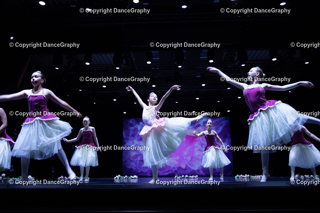 GPHY4818 | DanceGraphy - Realisiert mit Pictrs.com