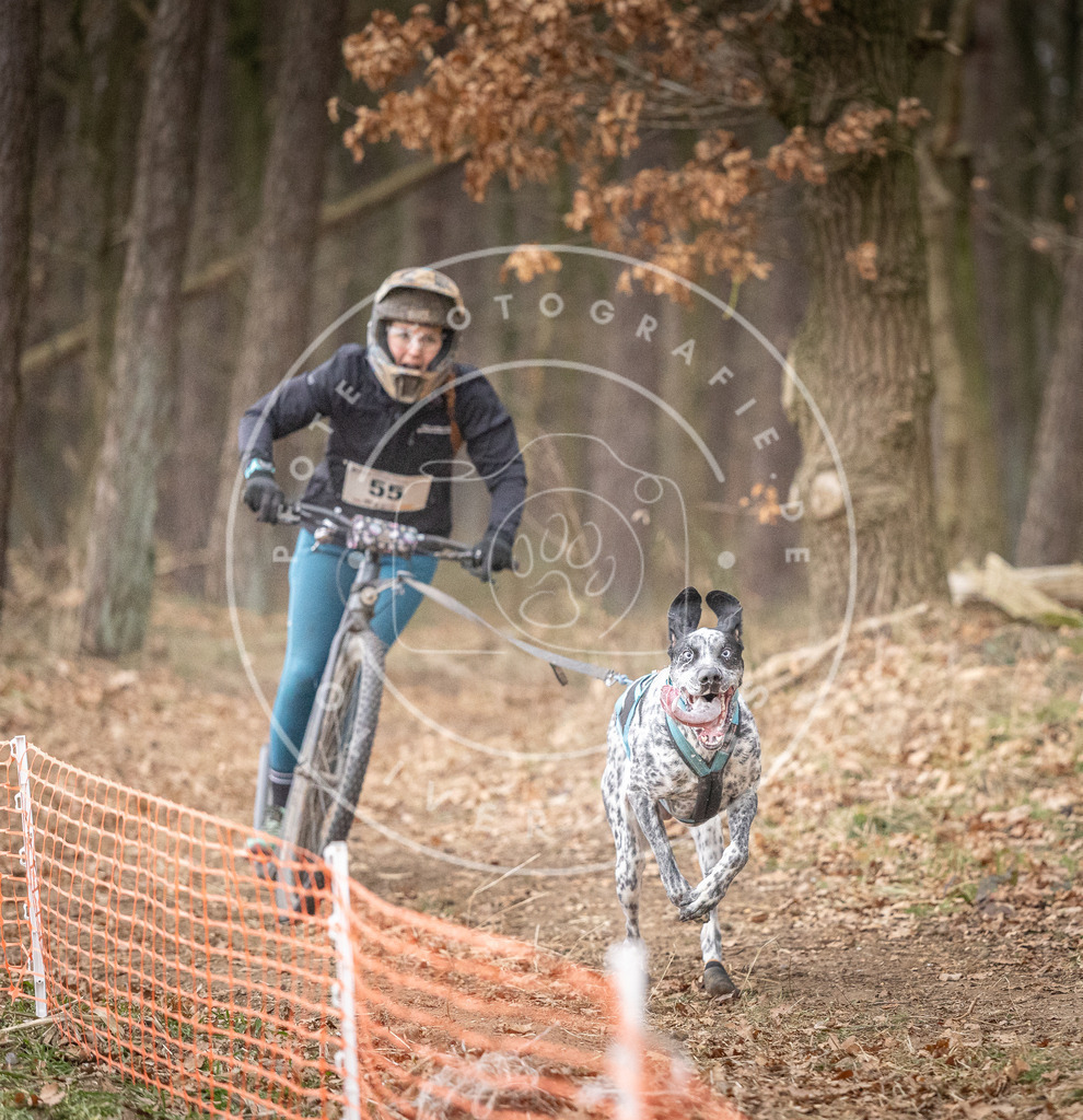 Pfotenfotografie_DV3A1439 | Hundefotografie, Tierfotograf, Pfotenfotografie, Fotoshooting Hund, Hunde Portrait, Hundesport, Hundeportraits, Heideshooting, Hunde, Sportfotograf, Hundefotograf, Turnierhundsport, THS,  - Realisiert mit Pictrs.com