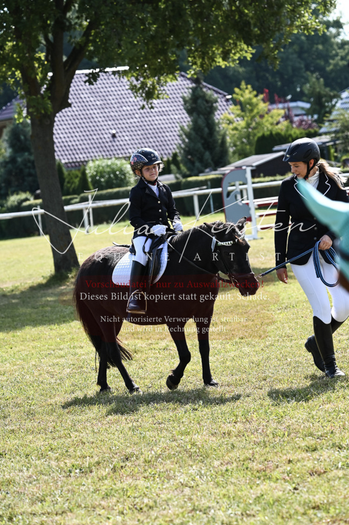 DSC_6854 | Pferde- und Turnierfotografie in Westsachsen. Pferdeportraits, Auftragszeichnungen und intuitive Kunst.