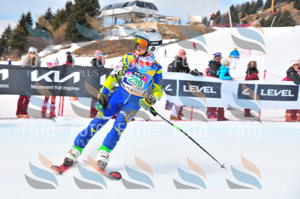 DSC_2209 | holidayphoto