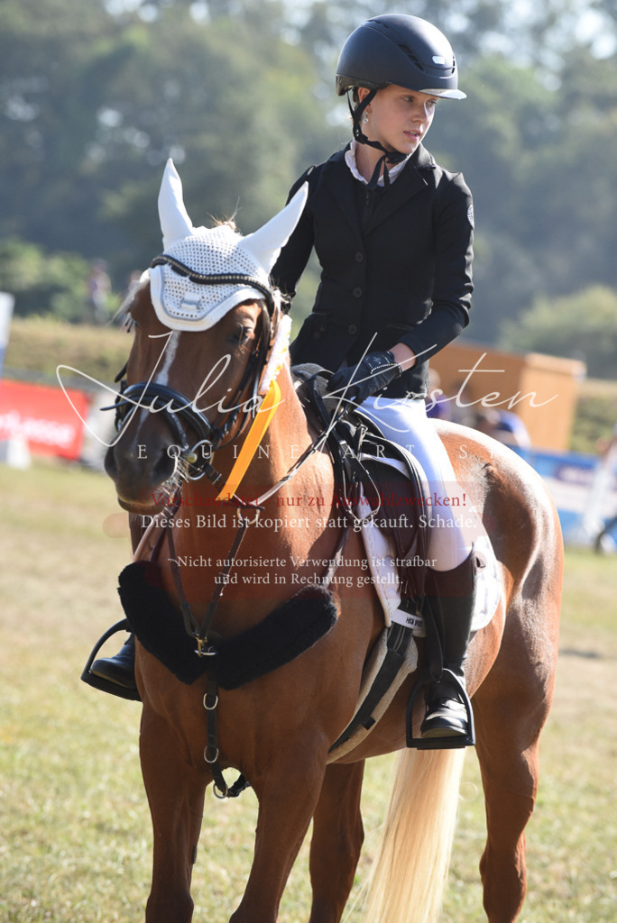 DSC_6160 | Pferde- und Turnierfotografie in Westsachsen. Pferdeportraits, Auftragszeichnungen und intuitive Kunst.