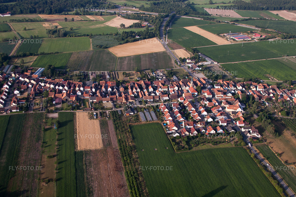 Luftbild: Ortsansicht von Norden in Erlenbach bei Kandel im Bundesland Rheinland-Pfalz in Deutschland. Foto: IMG_69762.jpg vom 04.07.2014 durch Werner Riehm/FLY-FOTO.de
