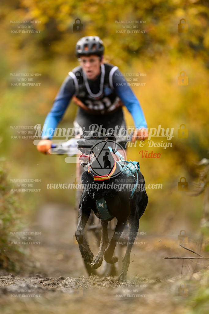 MompixPhotography_ICF_WC_2024_SA_Bike_-119 | PayLife
