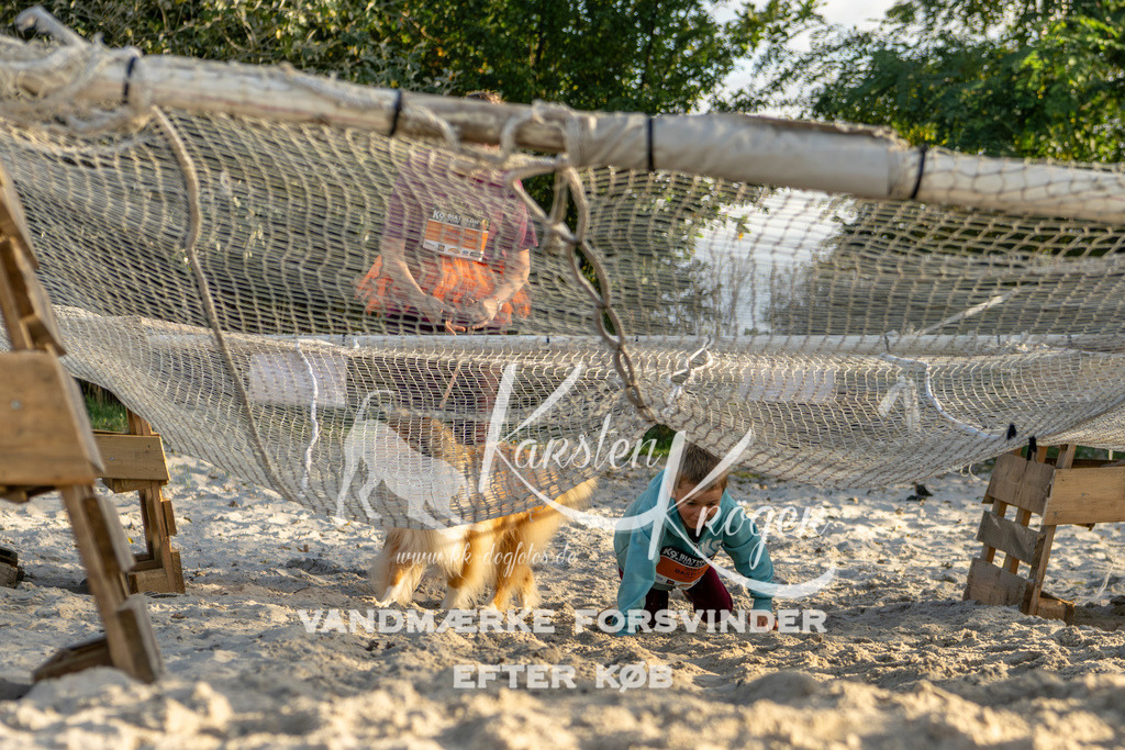 1648_ZZ99560 | kk-dogfotos