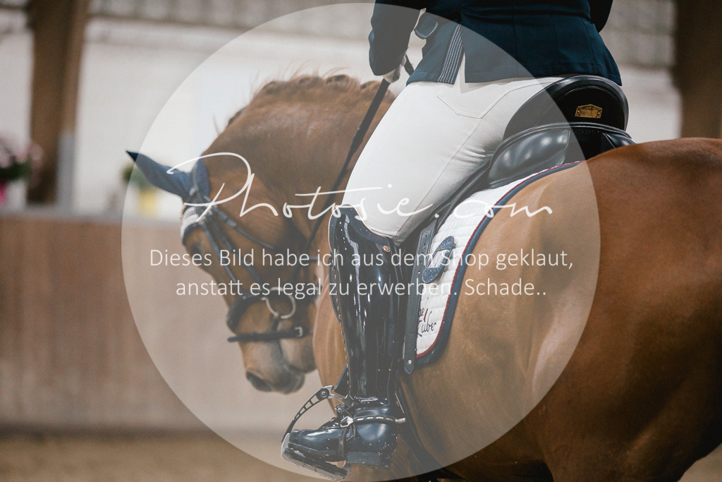 3I6A5960 | Stimmungsvolle Portraits und Reitsportfotografie im Ruhrgebiet und im Münsterland.

Pferdefotografie, Hundefotografie, Tierfotografie, Reportagen, Portraits von Tier und Mensch, Turnierfotografie in Bochum, Recklinghausen, Marl, Haltern am See, Dülmen.. - Realisiert mit Pictrs.com