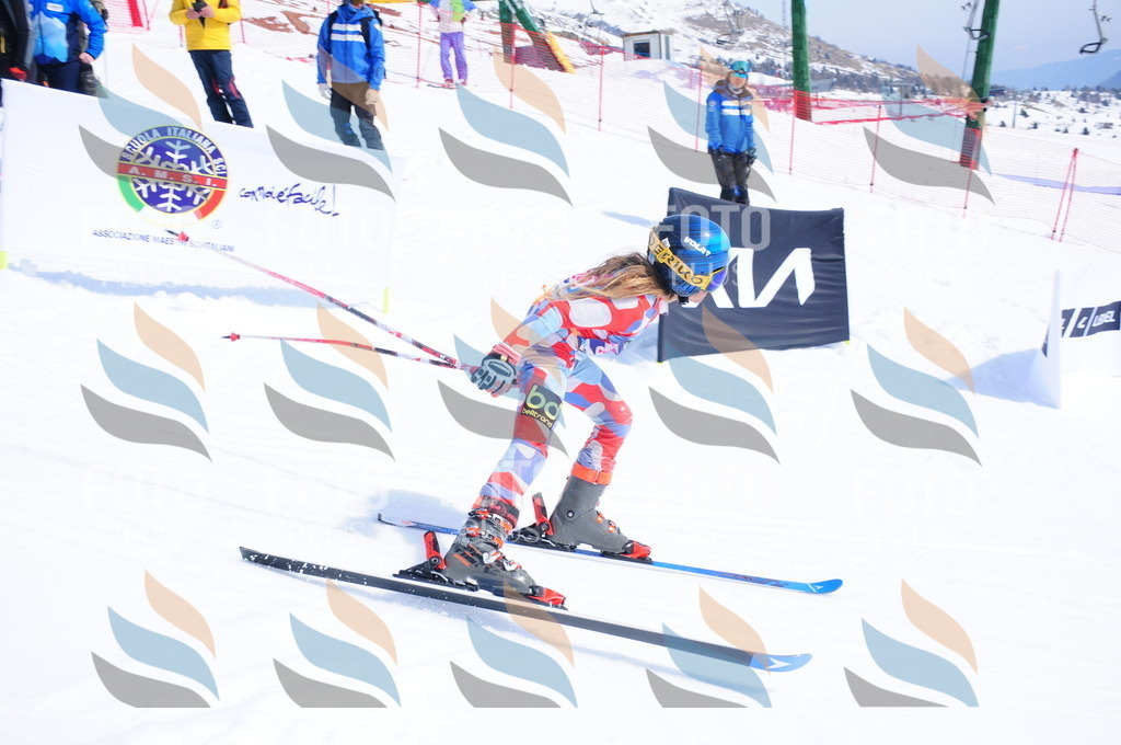 DSC_6160 | holidayphoto