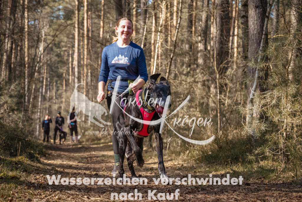 1247_ZZ94268-Bearbeitet | kk-dogfotos
