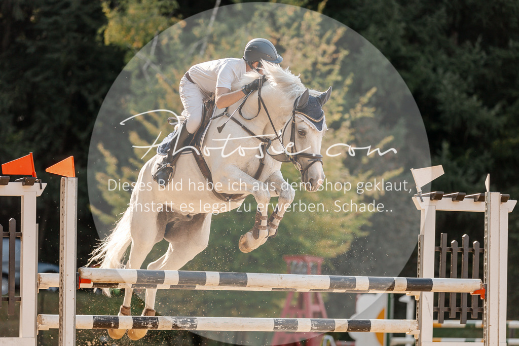 3I6A5078 | Stimmungsvolle Portraits und Reitsportfotografie im Ruhrgebiet und im Münsterland.

Pferdefotografie, Hundefotografie, Tierfotografie, Reportagen, Portraits von Tier und Mensch, Turnierfotografie in Bochum, Recklinghausen, Marl, Haltern am See, Dülmen.. - Realisiert mit Pictrs.com