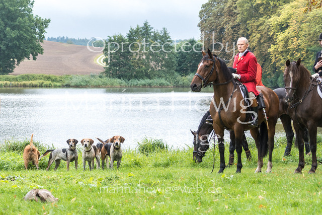 Jagd Kletkamp 26-03114_MarinaHewig | Fotografie, FotoArt, PferdesportArt, Pferdesportfotografie, Landschaftsfotografie, Reisefotografie, Reise, Pferde - Realisiert mit Pictrs.com