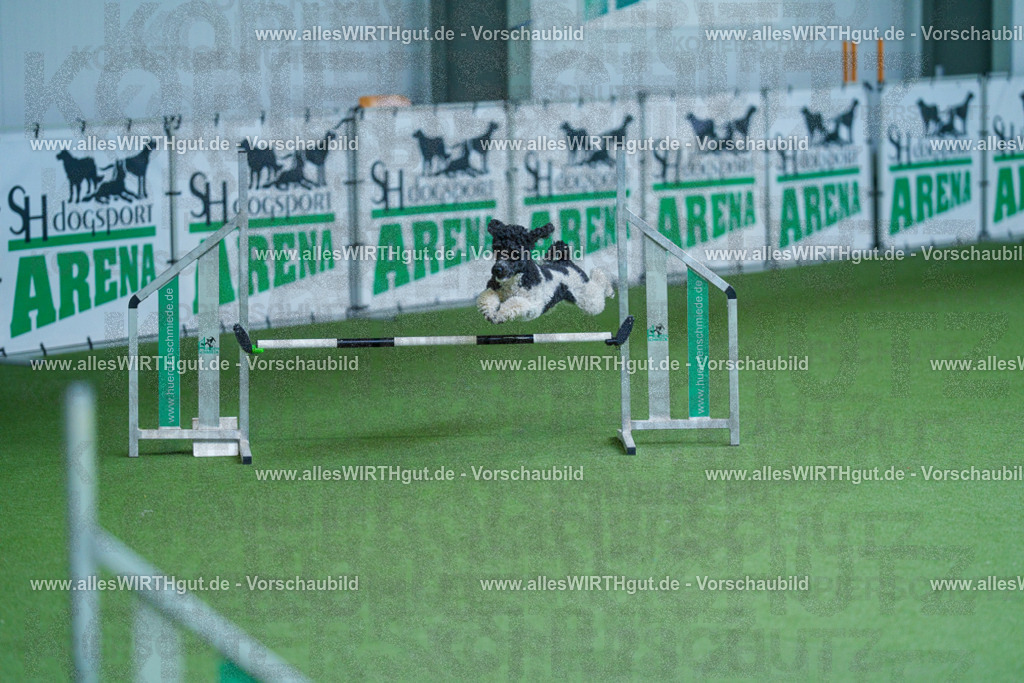 @allesWIRTHgut_Tierfotografie - www.allesWIRTHgut.de - 2604261340-7R502395 | Professionelle Tierfotografie in Mönchengladbach von Daniel Wirth (allesWIRTHgut). Liebevolle & natürliche Bilder von Hunden & Katzen für unvergessliche Erinnerungen.