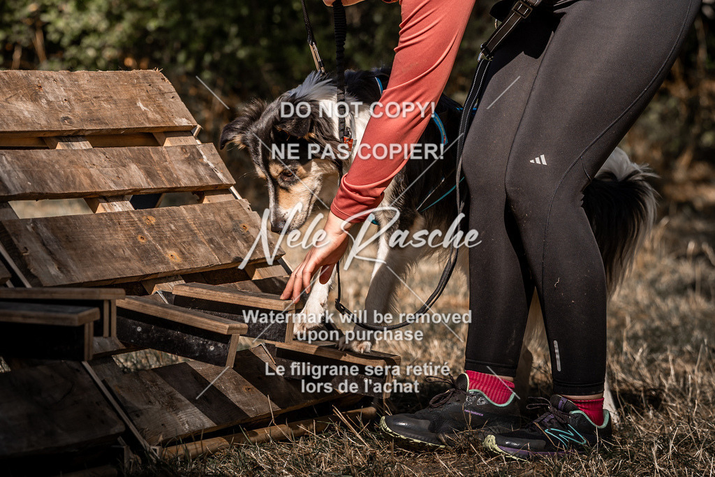 nelerasche_slaw24So_266 | nelerasche