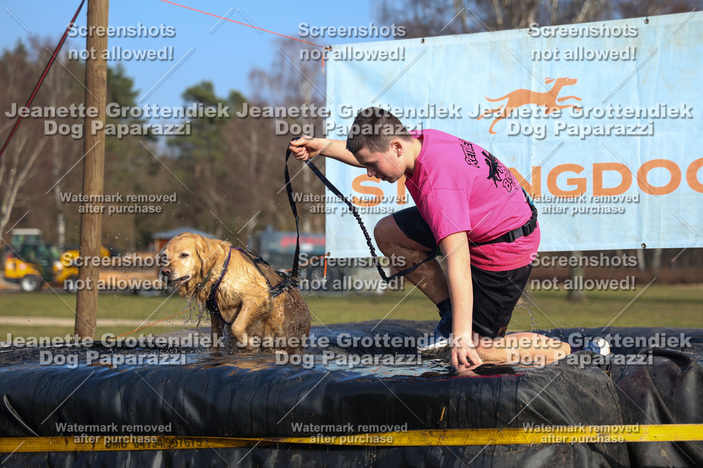 Dog Paparazzi - Strongdog North Mrz26-3441 | Dog Paparazzi Jeanette Grottendiek Fotografie & Videografie - Realisiert mit Pictrs.com