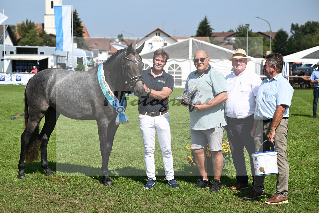 Kat-Nr. 28 nn v. Cayado_Sommer_34240618 | hf-fotografie - Realisiert mit Pictrs.com