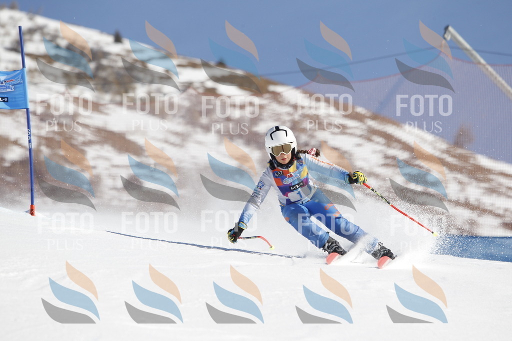 _U3G8488 | holidayphoto