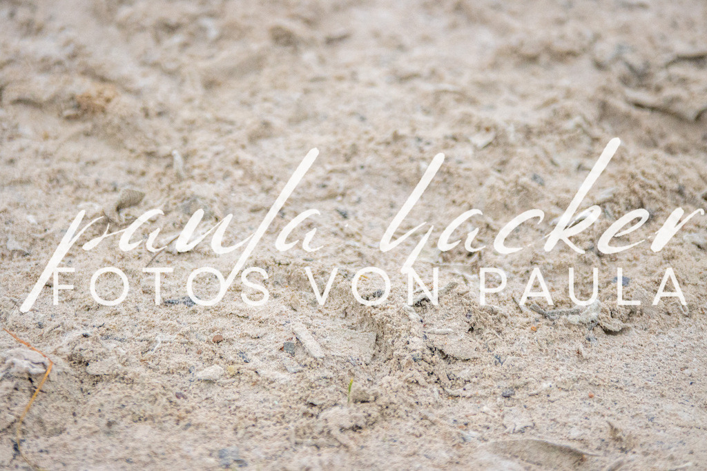 IMG_2256 | Erleben Sie dynamische Sport- und emotionale Tierfotografie in Süddeutschland mit Fotos von Paula. Spezialisiert auf Pferde- und Hundefotografie sowie Sportevents. Kontaktieren Sie mich für einzigartige und ausdrucksstarke Bilder Ihrer besonderen Momente.