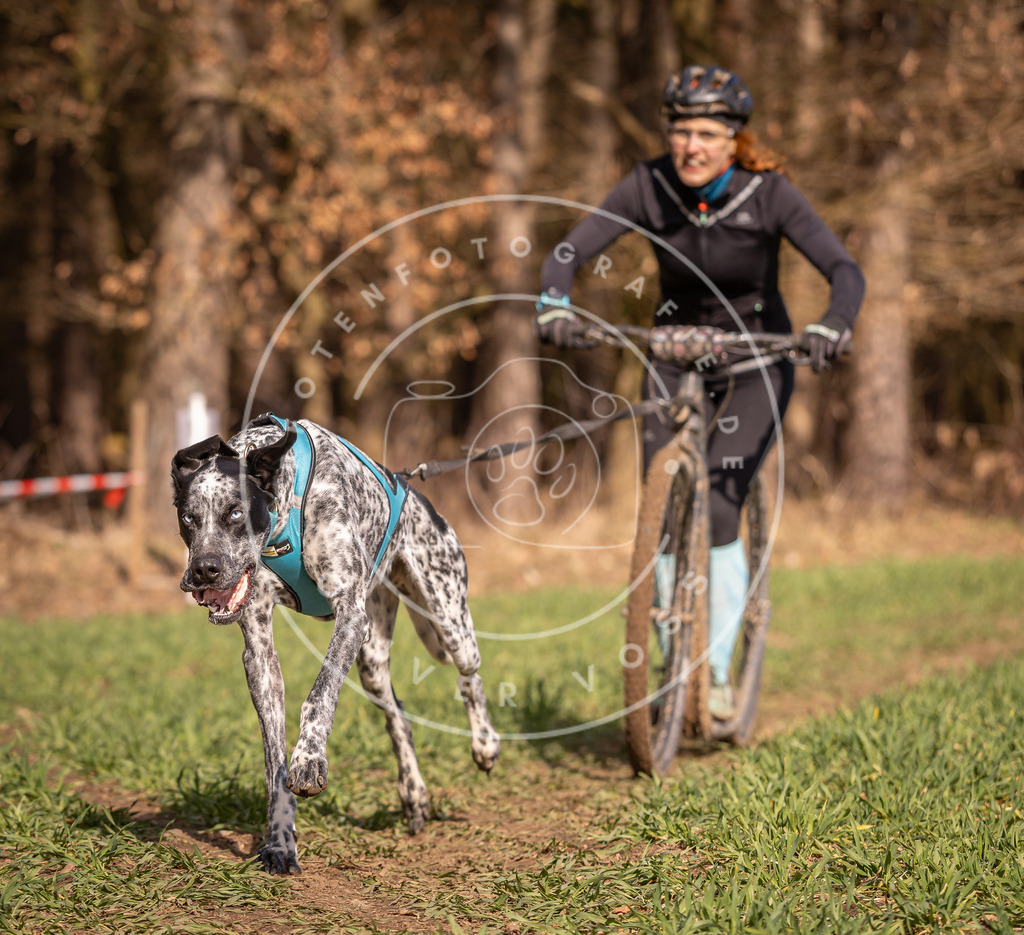 DV3A6099 | Hundefotografie, Tierfotograf, Pfotenfotografie, Fotoshooting Hund, Hunde Portrait, Hundesport, Hundeportraits, Heideshooting, Hunde, Sportfotograf, Hundefotograf, Turnierhundsport, THS,  - Realisiert mit Pictrs.com