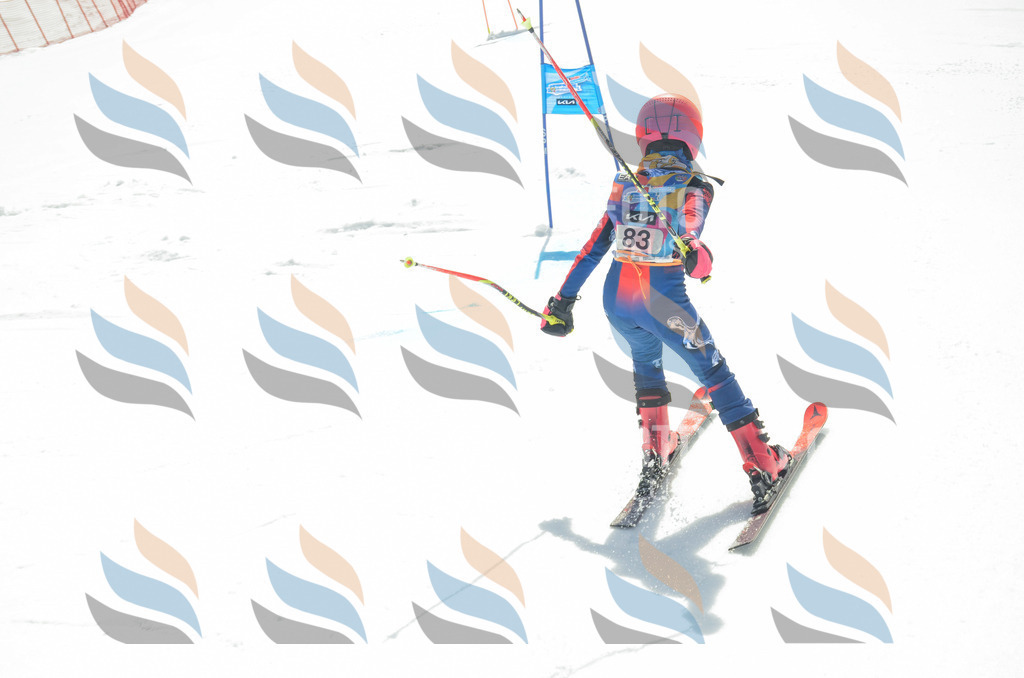 _ELE5594 | holidayphoto