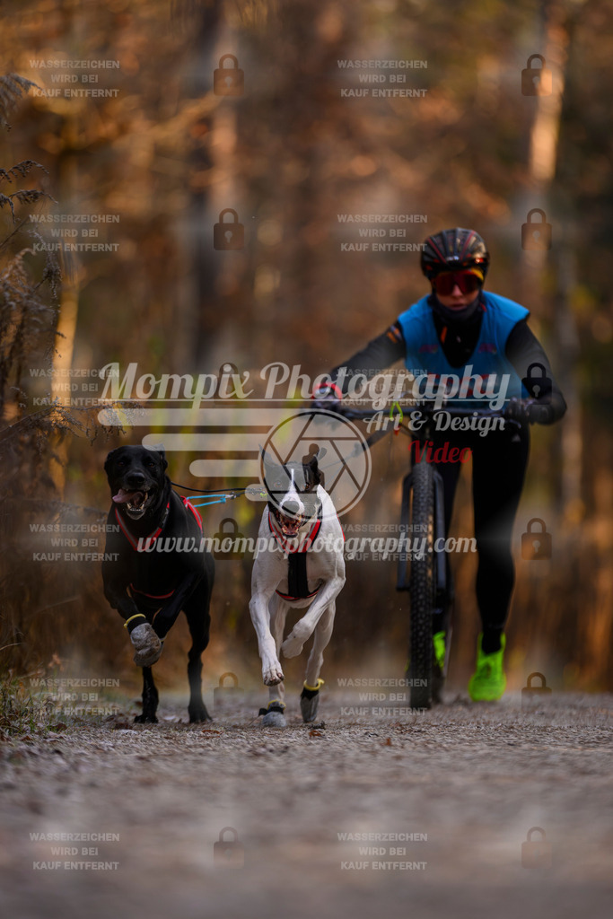 MompixPhotography_DM_AKDM_SO_2025_Scooter-5 | PayLife