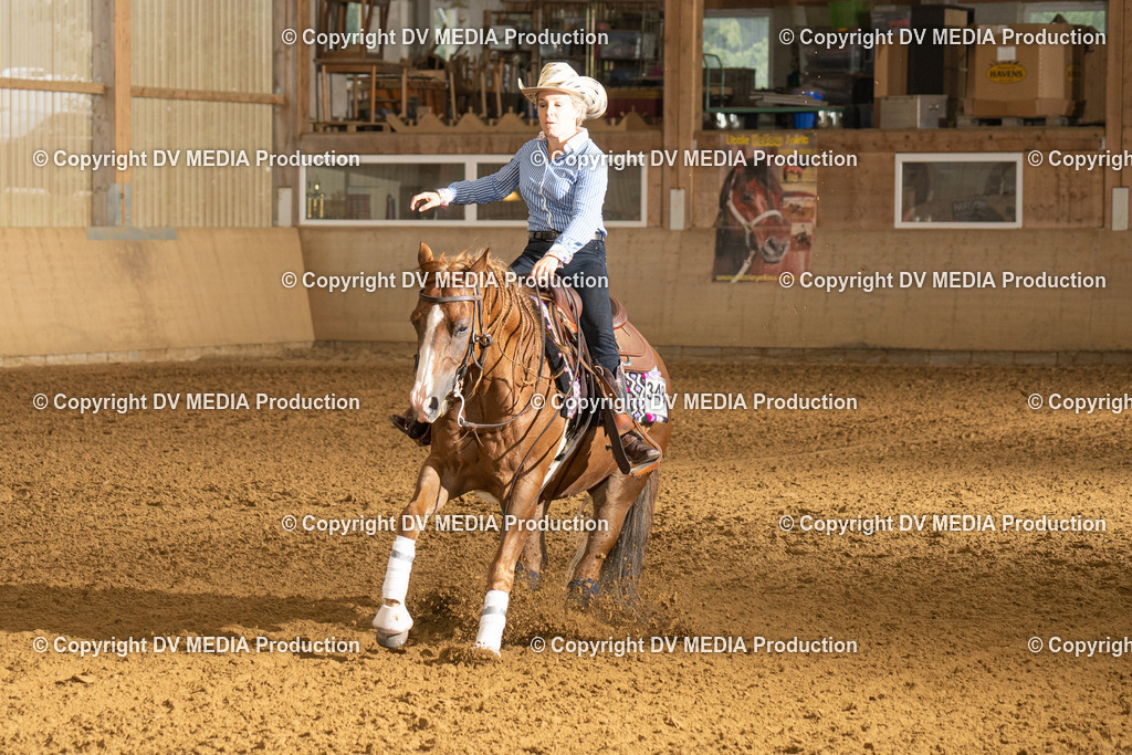 LAU00640 | dv-media-shop - Realisiert mit Pictrs.com