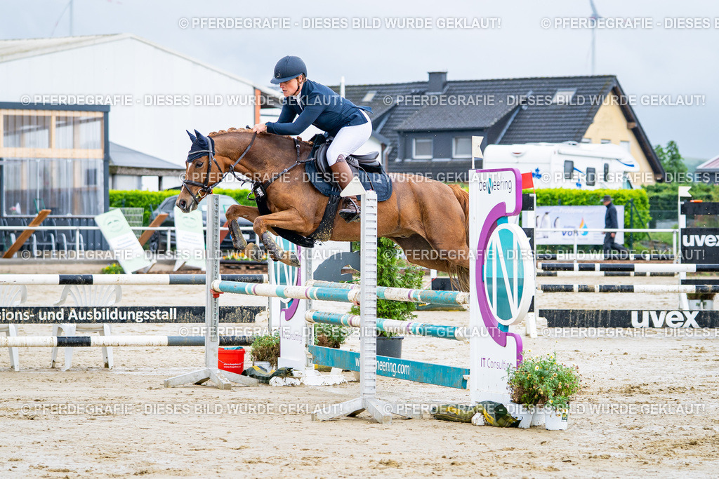 DSC03167 | Pferdegrafie