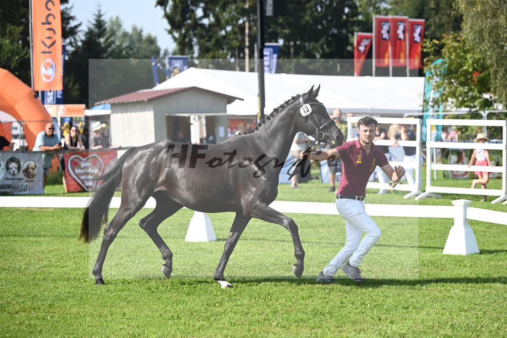 Kat-Nr. 13 Sunrise_Hoffmann_34240210 | hf-fotografie - Realisiert mit Pictrs.com