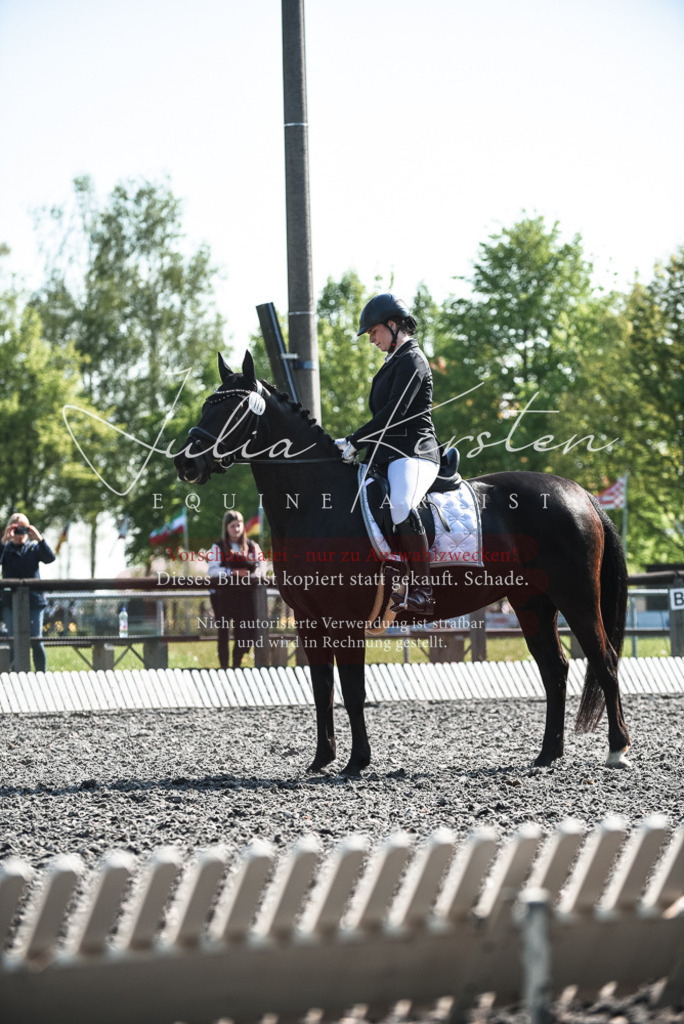 DSC_8601 | Pferde- und Turnierfotografie in Westsachsen. Pferdeportraits, Auftragszeichnungen und intuitive Kunst.