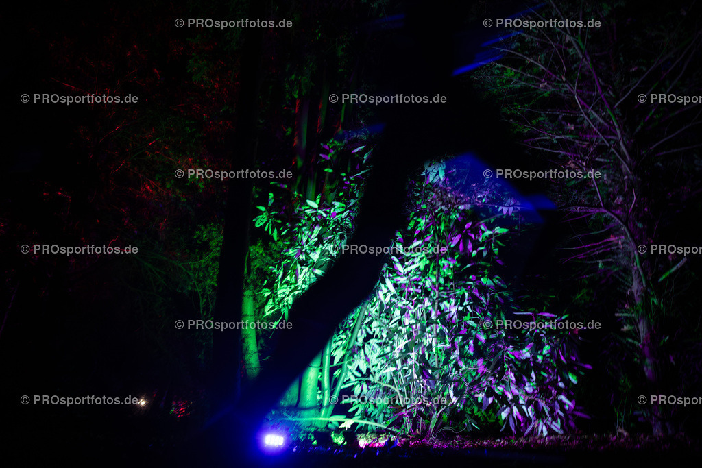 Halloween Run 2024 in Koeln, 31.10.2024 | Impressionen vom Halloween Run 2024 am 31.10.2024 in Koeln (Forstbotanischer Garten Rodenkirchen). Foto: BEAUTIFUL SPORTS/Axel Kohring