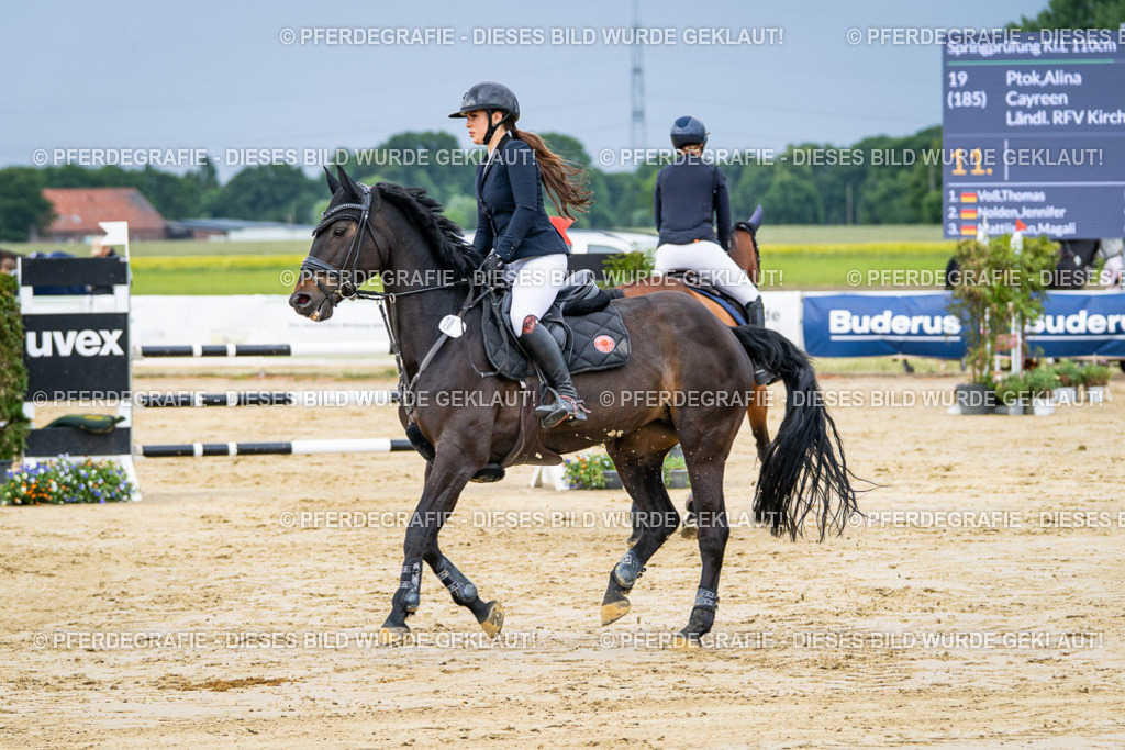 DSC03946 | Pferdegrafie