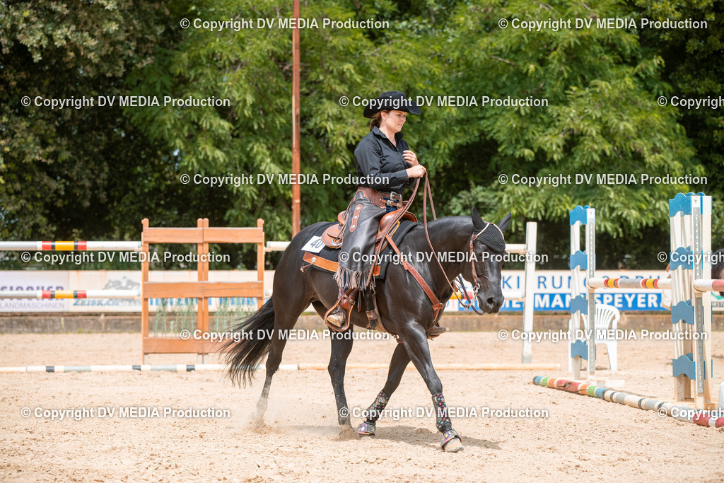 EWP_6359 | dv-media-shop - Realisiert mit Pictrs.com