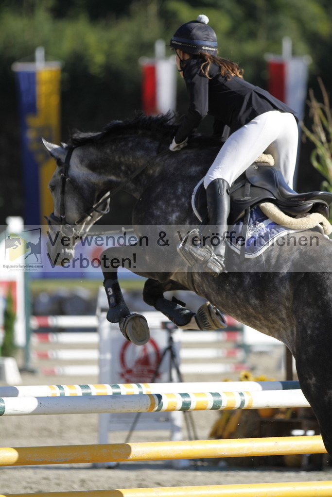 _MG_3610 | equestrian-live-com