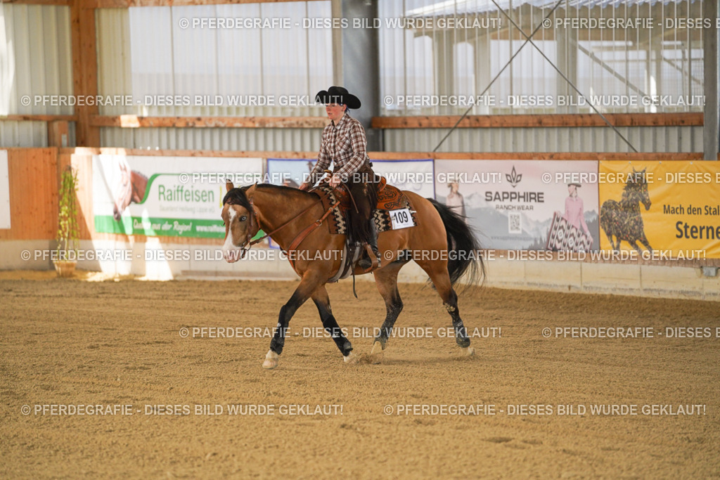 DSC06978 | Pferdegrafie