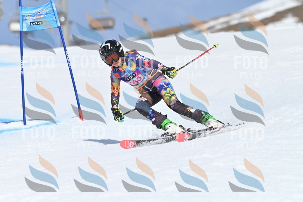 BGV_0364 | holidayphoto