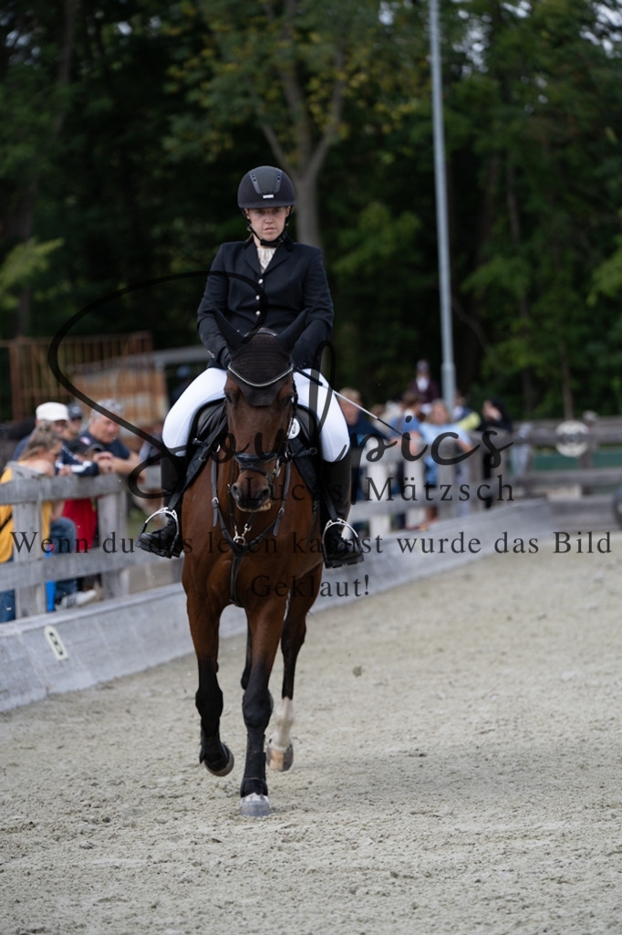 A7V07324 | Turnier/Reitfotograf