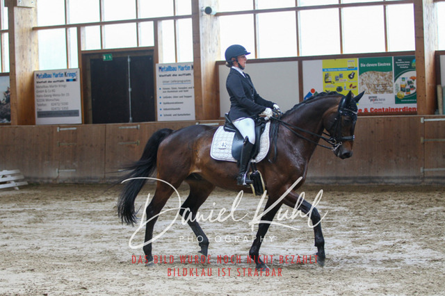 DKP44765 | Turniersportfotografie; Pferdefotografie; Dressurfotografie