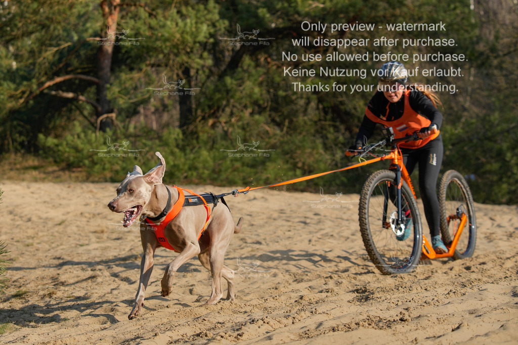 So_Scooter-286 | stephaniefillaphotographie - Realisiert mit Pictrs.com