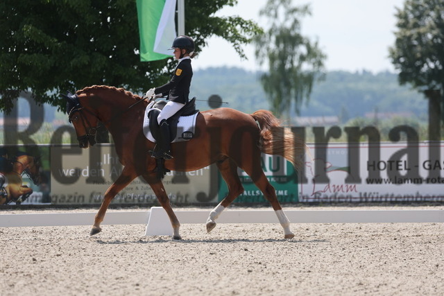 Rot am See_2024_Prfg.Nr.21_Qual.BCH_und_LCH_5-jähr.Ponys_Mary-Ann Hollenbach_Dein Traum (8) | Alle Fotos der Reiterjournal Fotografin Doris Matthaes im Reiterjournal Online-Fotoshop. - Realisiert mit Pictrs.com