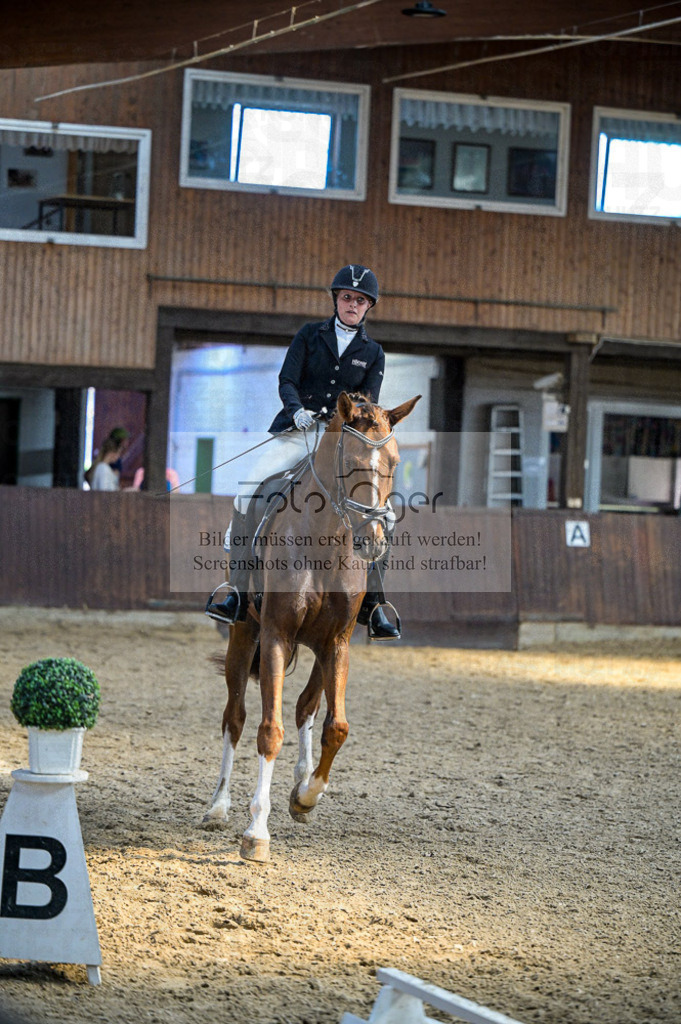 Reitturnier Voxtrup | Entdecke hochwertige Reitturnierfotos von Foto Oger. Professionell, emotional und authentisch – jetzt Lieblingsmomente im Shop bestellen.Deutschlandweite Turnierfotografie. - Realisiert mit Pictrs.com