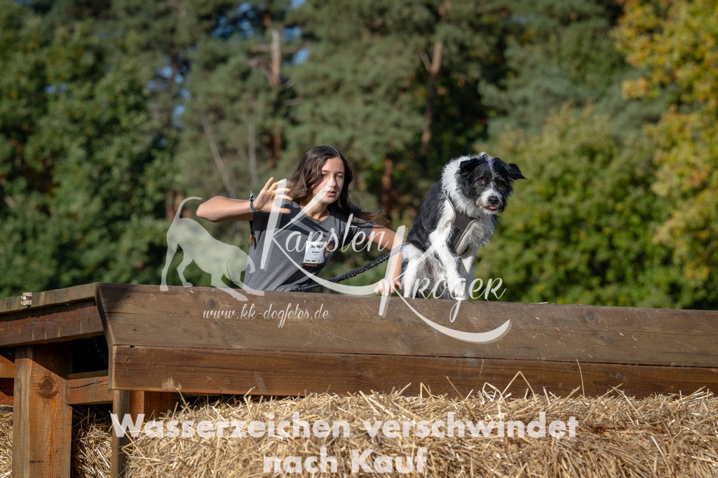 1029_ZZ90631 | kk-dogfotos