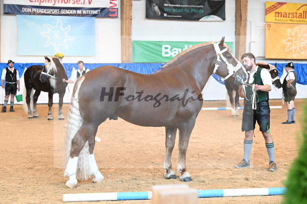 Kat-Nr. 96 Vom Forggensee_Kotz_53220615 | hf-fotografie - Realisiert mit Pictrs.com