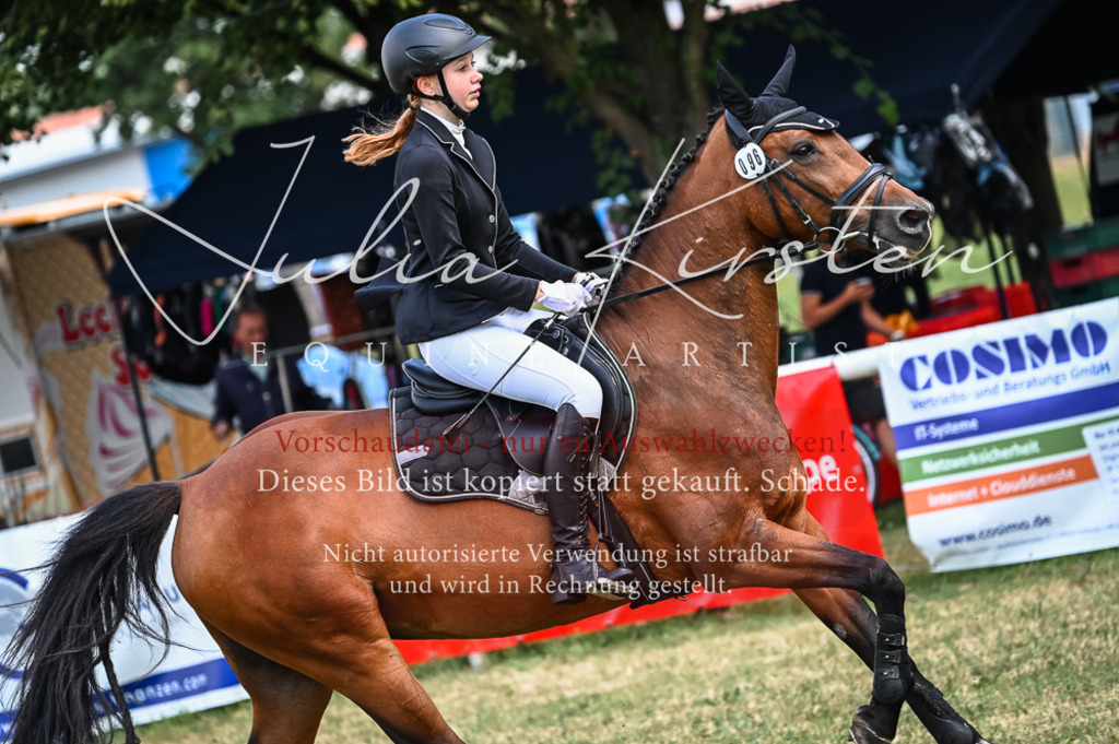DSC_8469 | Pferde- und Turnierfotografie in Westsachsen. Pferdeportraits, Auftragszeichnungen und intuitive Kunst.