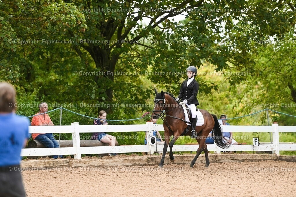 20230716_10-2_Reiter-WB Schritt - Trab - Galopp_0125 | equistock