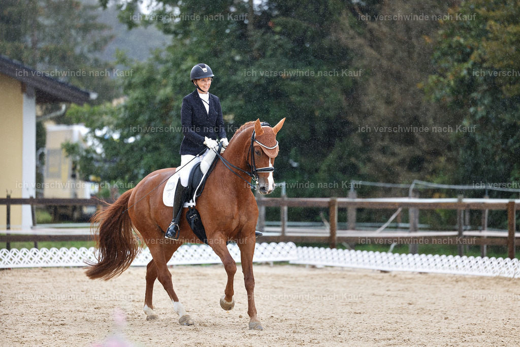 05-060-DRESSUR M_  -StoibPH-4920 | working equitationturnier fotograf videograf stoibphotography marixx film working equitation deutschland reitsport turnierfotografie eventfotografie equestrian events