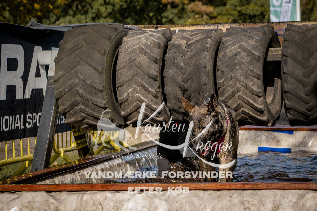 1320_ZZ92448 | kk-dogfotos