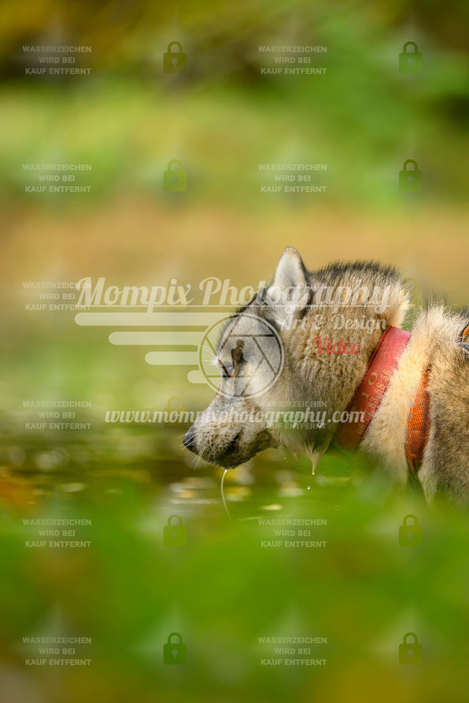 MompixPhotography_20TSB_E1_Bike-3 | PayLife