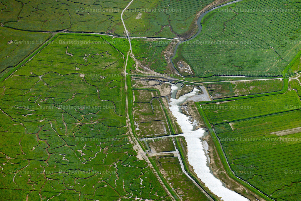3090708 | Nordmarsch-Langeness, Nationalpark Schleswig-Holsteinisches Wattenmeer
