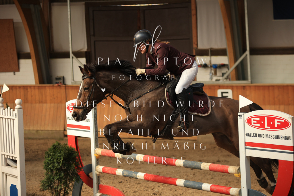 IMGT0422 | pl-fotografie